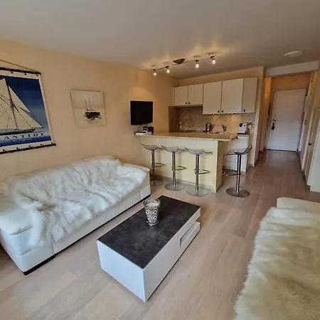 Apartment Deauville, Proche Avec Parking Prive *